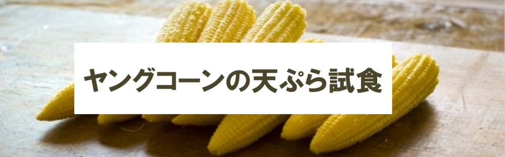 ヤングコーン