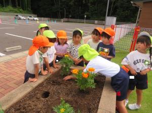 5歳花植え