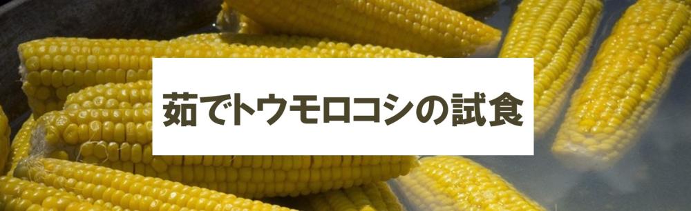 スクリーンショット 2025-07-10 090558