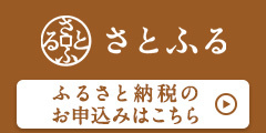 bnr-satofull-240_120_b