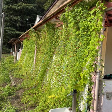 木崎学童保育所