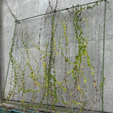 歴史民俗資料館