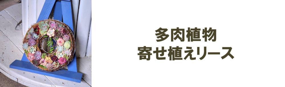 多肉植物リース
