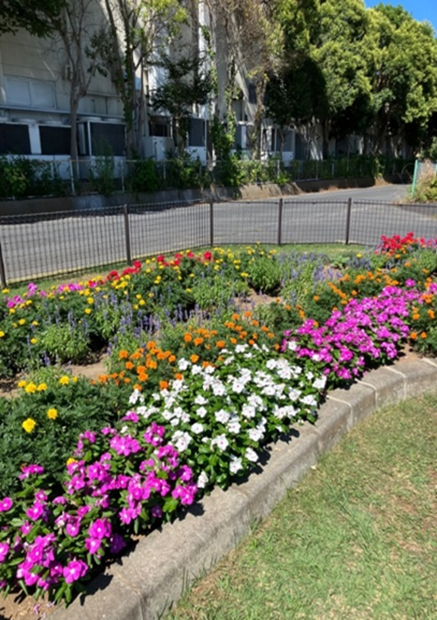 いきいきサロン日の出会