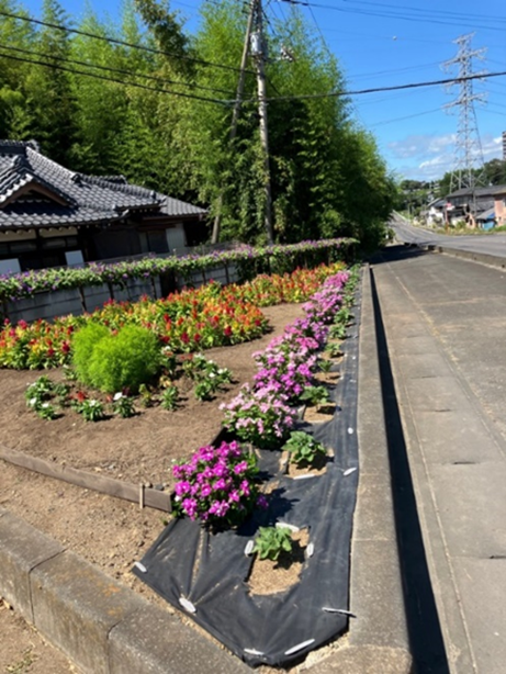 ぬかだの子どもを守り支える会