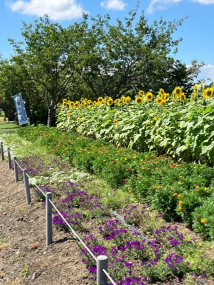 門部鹿島圷環境保全会