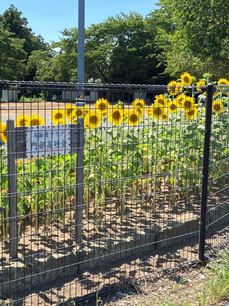 $b-$!ylz:j(bphoto_20250731-034001_2