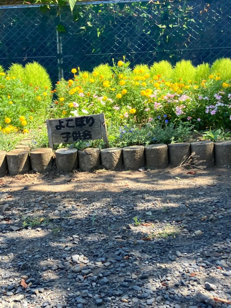 $b-%!y$h$$j(bphoto_20250731-034241_2