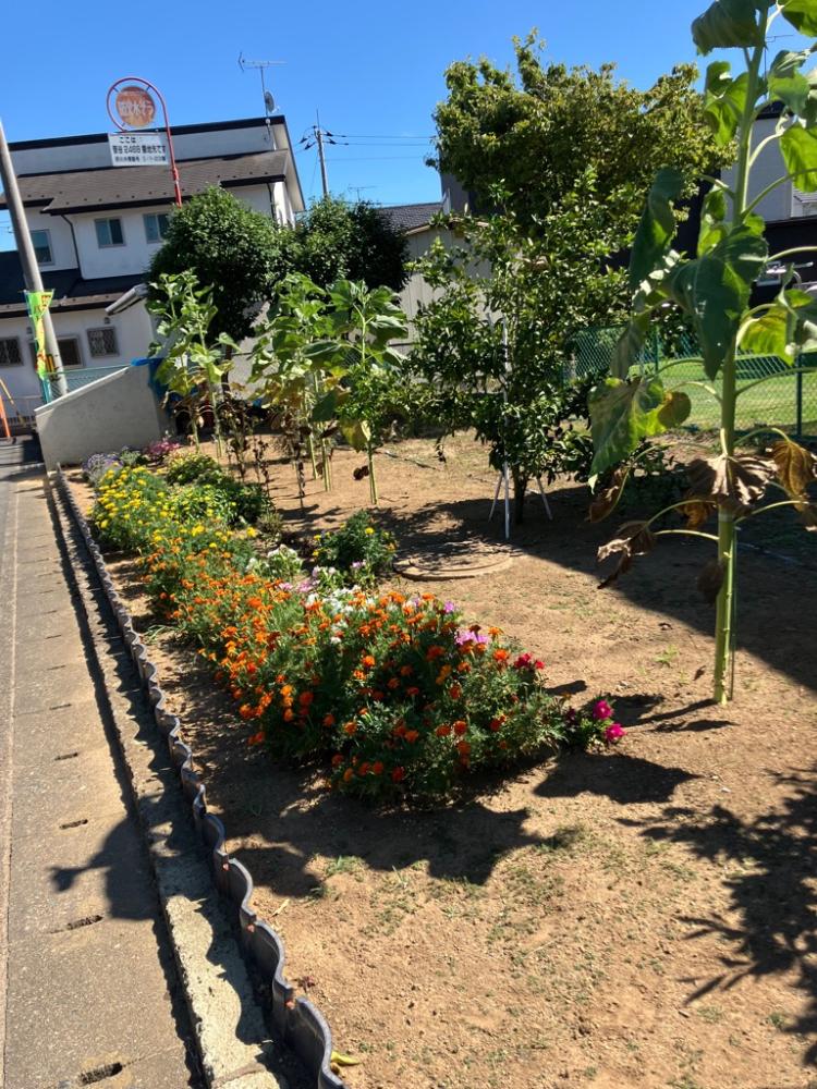 $b-'!y$h$-$o(bphoto_20250731-034558_2