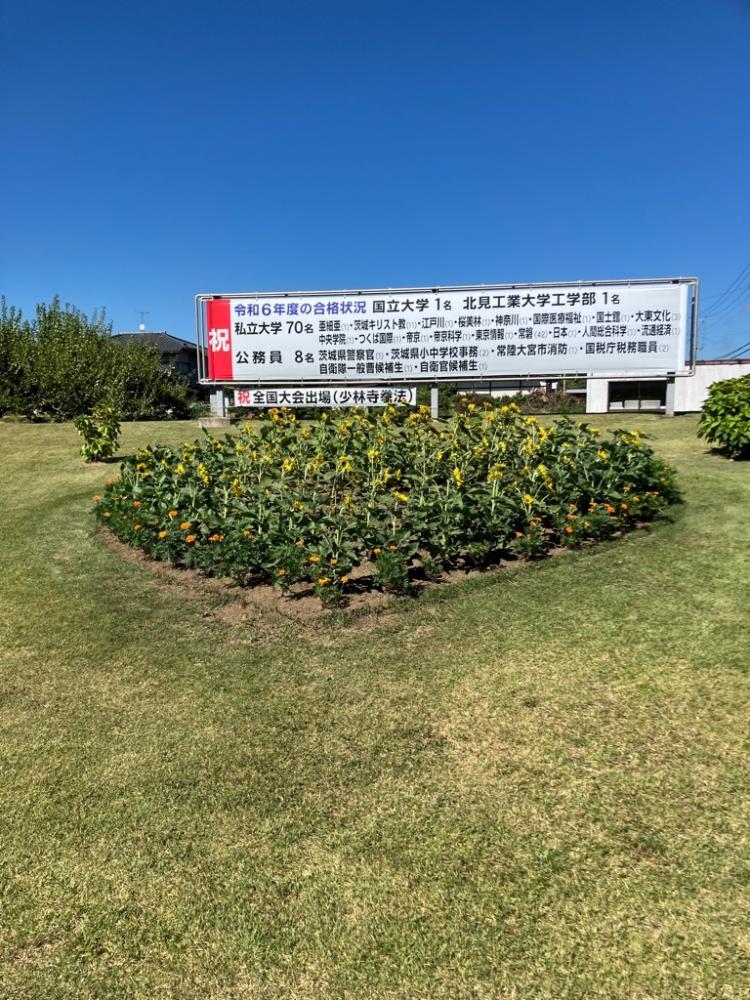 $b-)!yfa2q9b(bphoto_20250731-034700_3