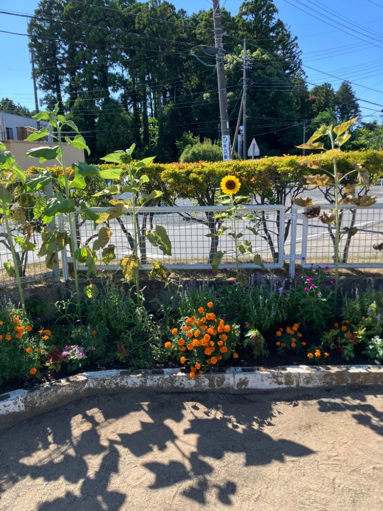 $b-*!ybg@.(bphoto_20250731-034744_4