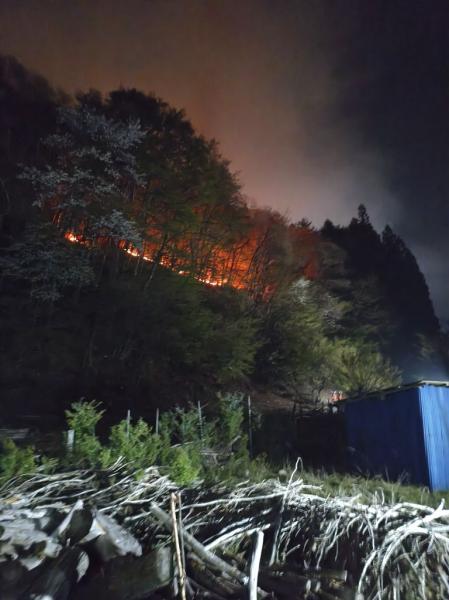 大槌町林野火災現場(3)