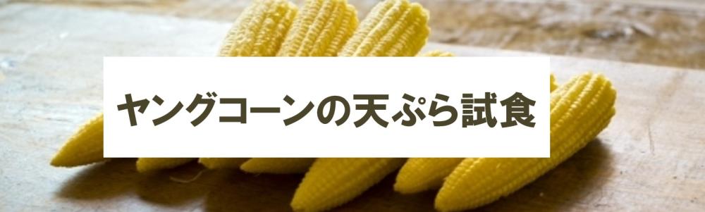 スクリーンショット 2026-05-14 213757