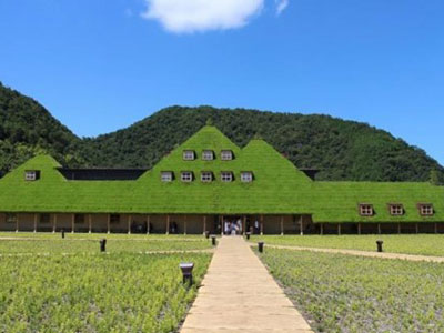 ラコリーナ近江八幡 草屋根