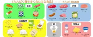 たんぱく質をとりましょう