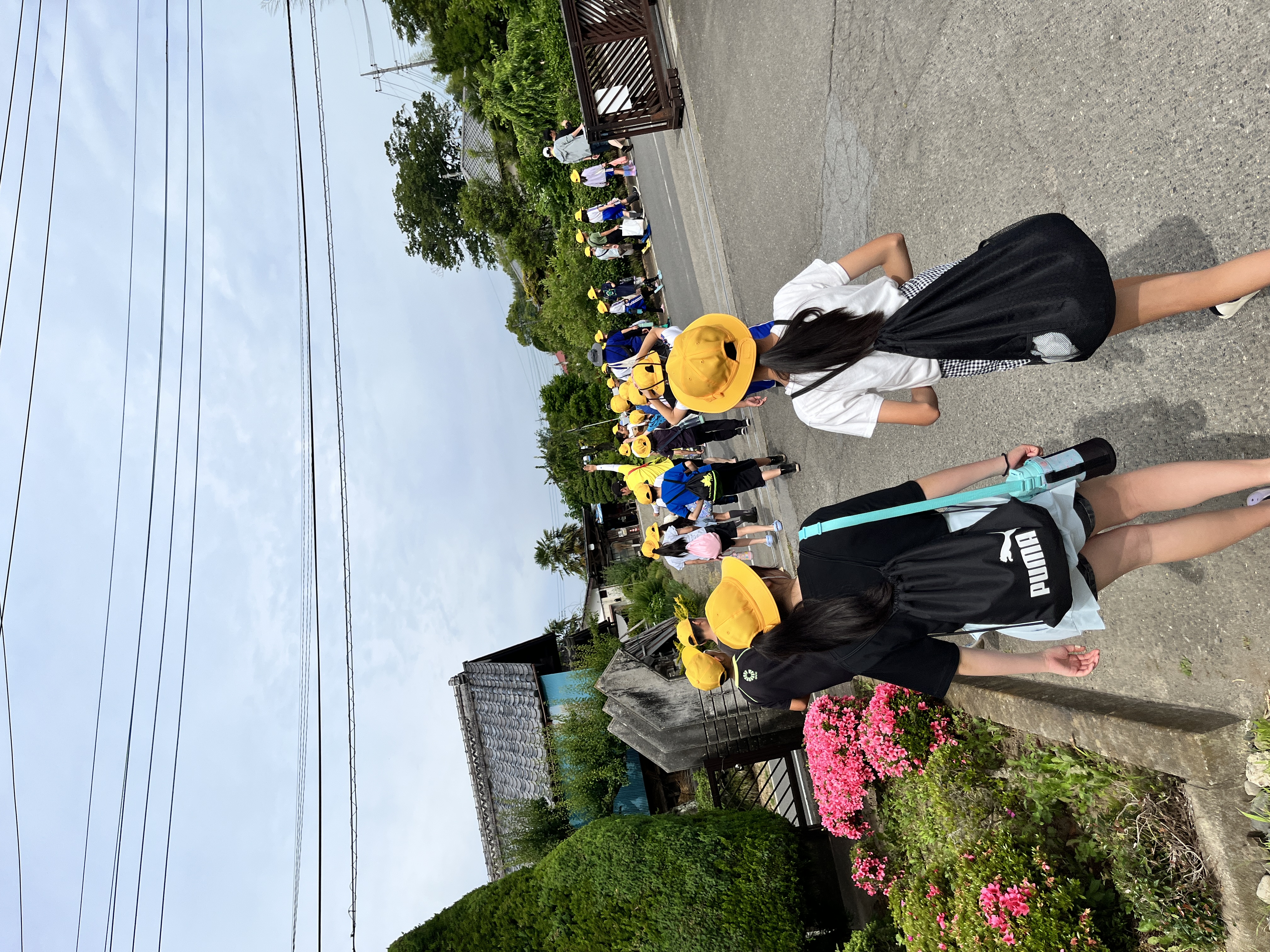 K田植え2