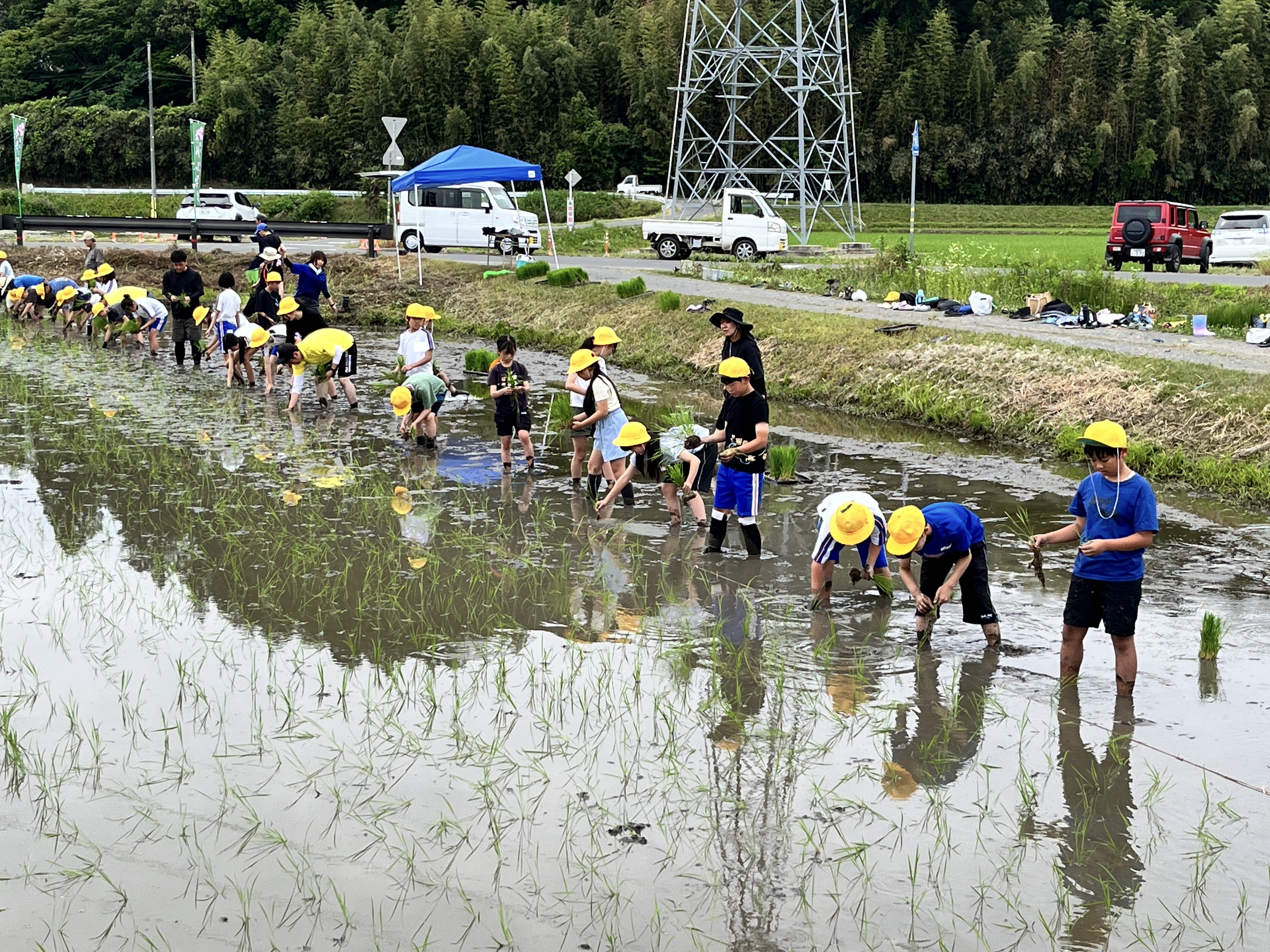K田植え10