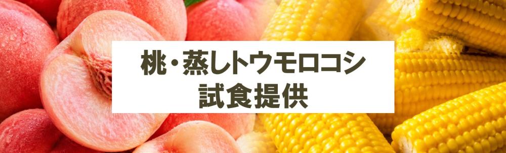 スクリーンショット 2026-07-15 085832