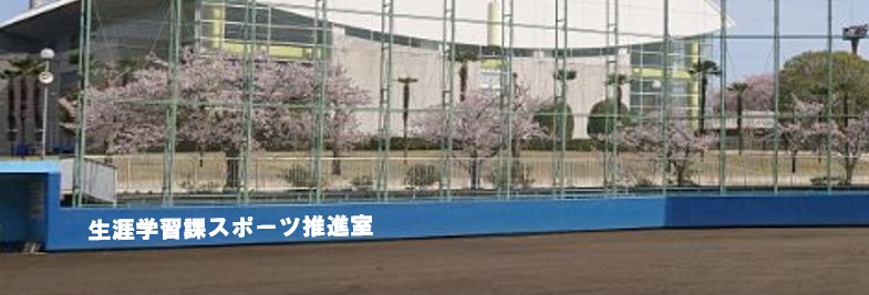 有料広告写真2