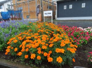 下宿上子供会の花壇