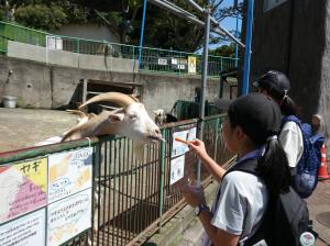 エサやり
