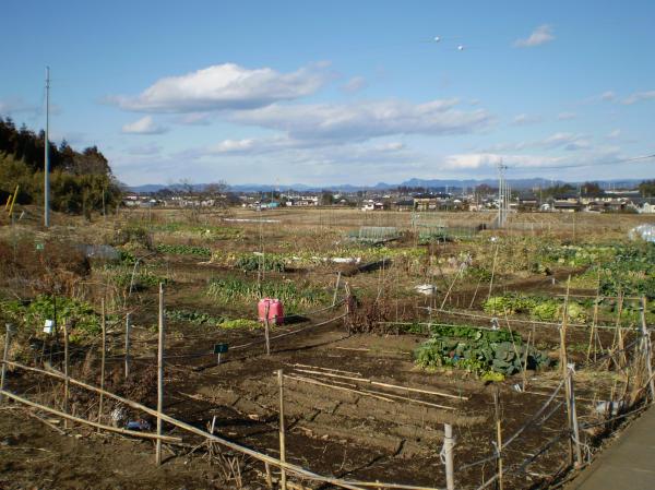 ふれあい農園