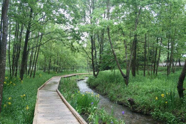 016清水洞の上公園・木道