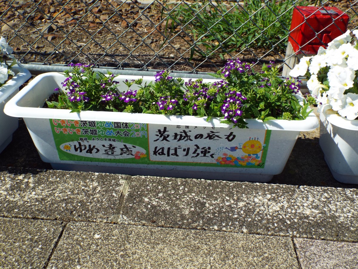 瓜連駅の写真