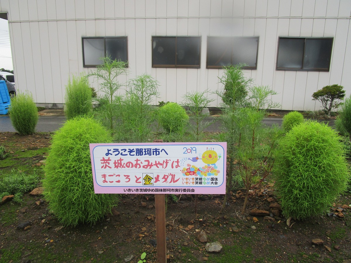 ぬかだの子どもを守り支える会の写真