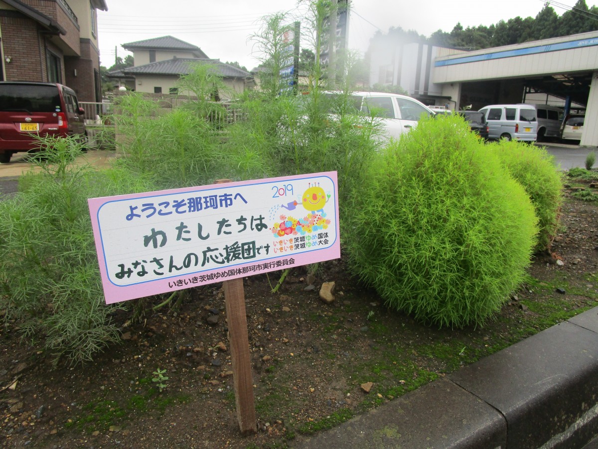 ぬかだの子どもを守り支える会の写真