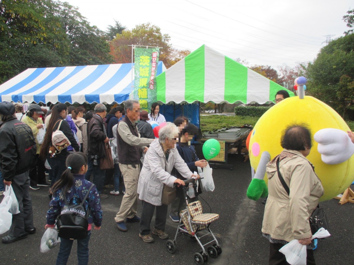 茨城県植物園の秋まつりでPRを行いましたの写真