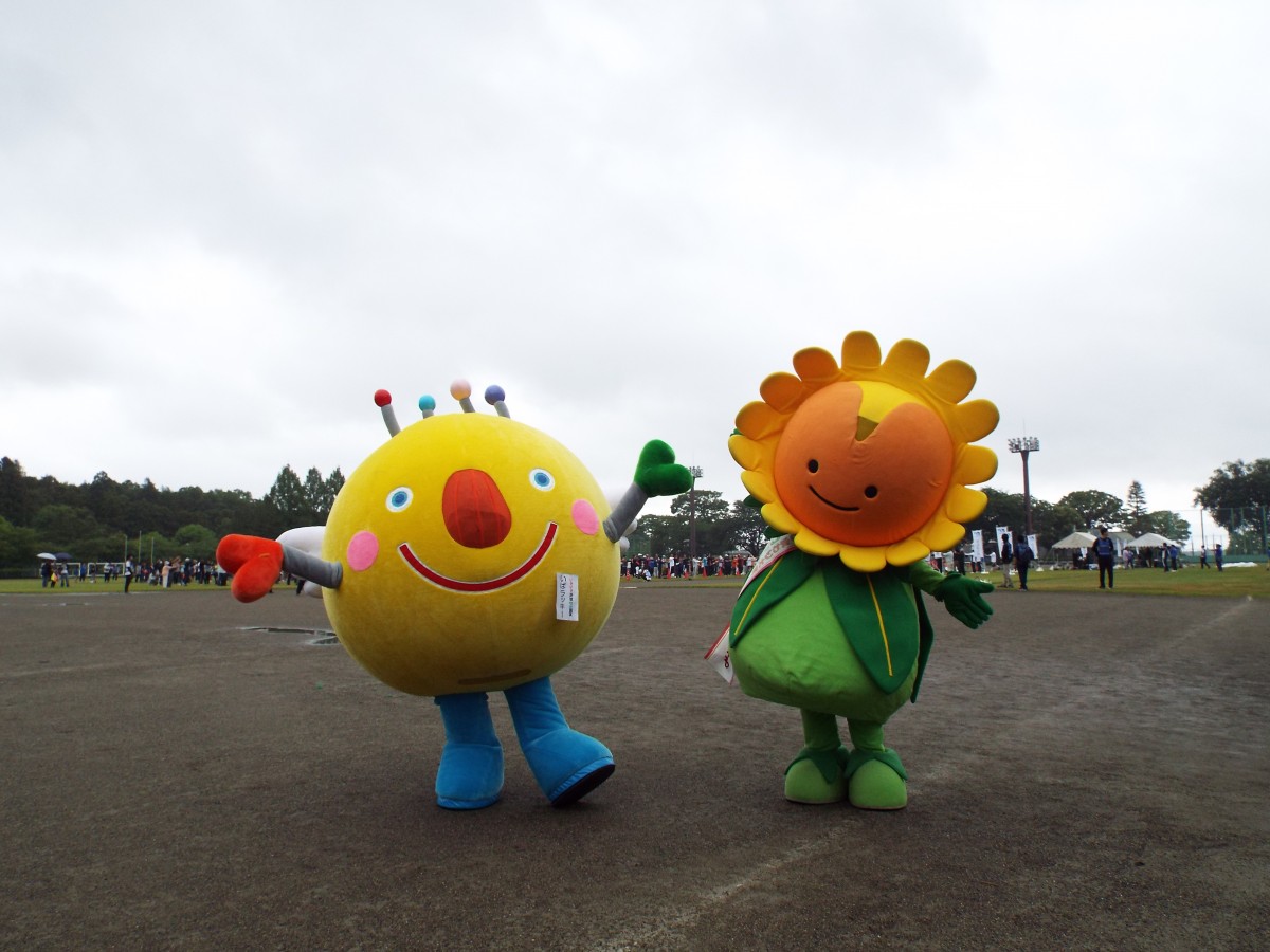 特別巡回 2019年度 ラジオ体操・みんなの体操会に参加しました!の写真