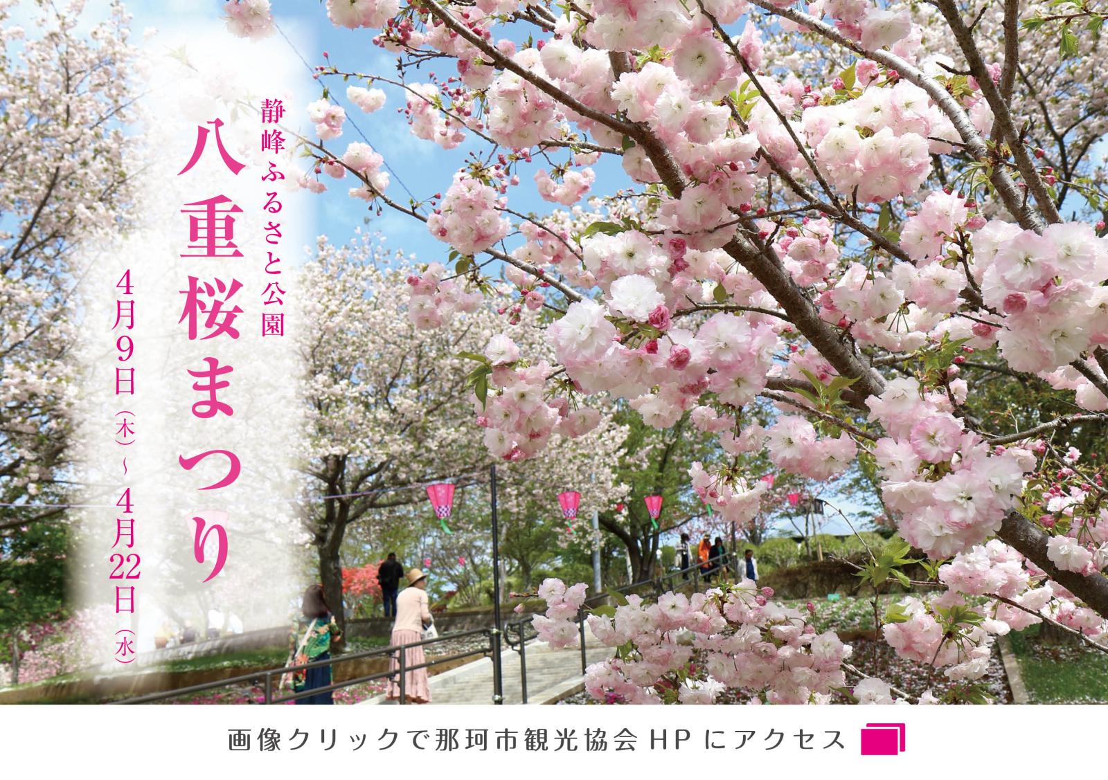 八重桜まつり2026