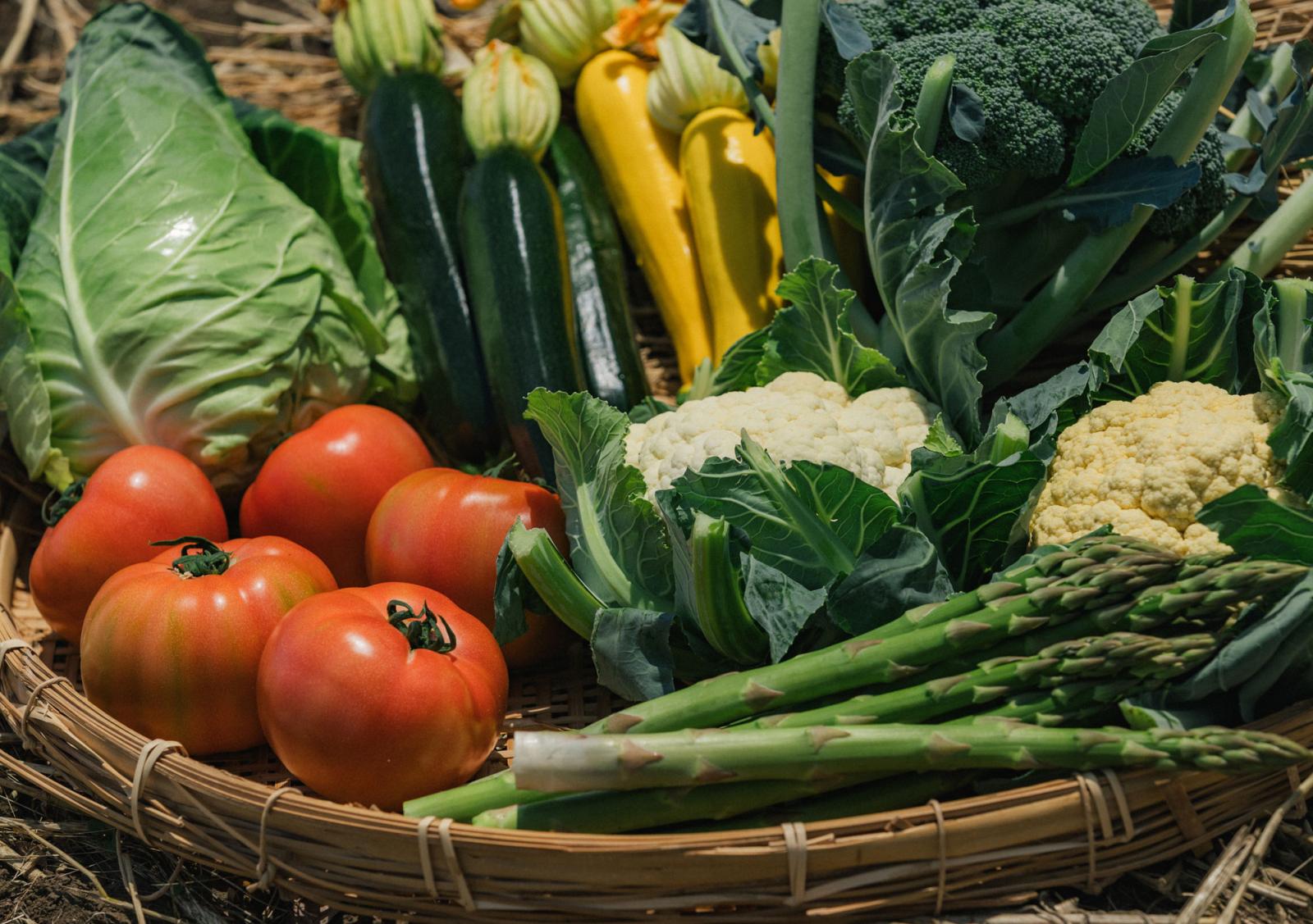 1_vege