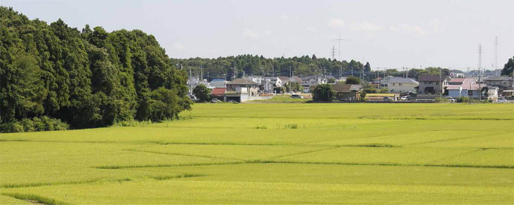 移住をお考えの方へ