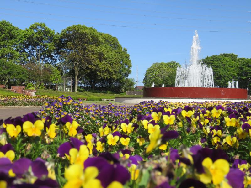 植物園を楽しむ いぃ那珂暮らし公式ホームページ