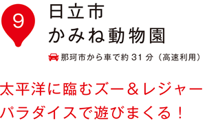 日立市かみね動物園 太平洋に臨むずー&レジャーバラダイスで遊びまくる！