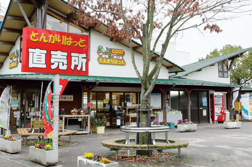 サンプル画像1