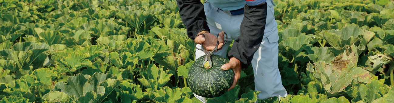 いぃもの探訪4 常陸農業協同組合