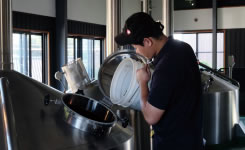 幻のビール麦2