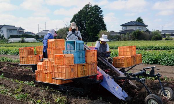 ほしいも協議会1