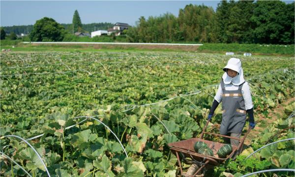 常陸農業協同組合1