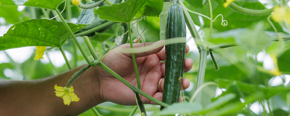 アートボード 1