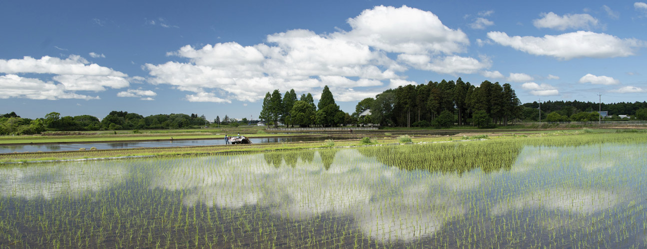 那珂市の風景3